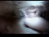 Black dog eating the pussy of a slut